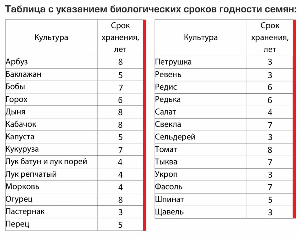 Температура для редиса. Сроки хранения семян овощей. Срок годности семян овощей таблица. Срок хранения овощных семян. Срок годности на семена таблица.