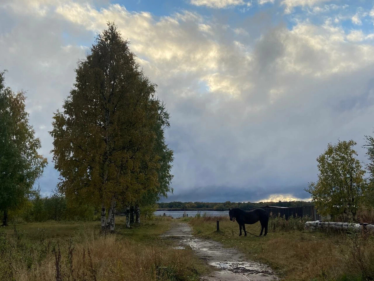 Эх севера. Пасмурно. С пасмурной средой. Три дня дождя Архангельск. 3 Дня дождя Архангельск.