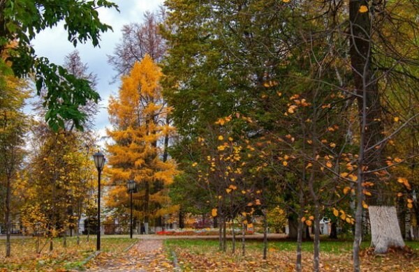 Золотая осень во Владимире