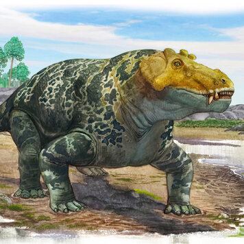 lazy_smart_crop_356x356