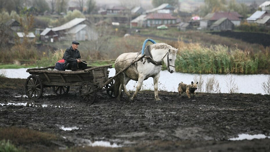 Деревня грязь фото деревни