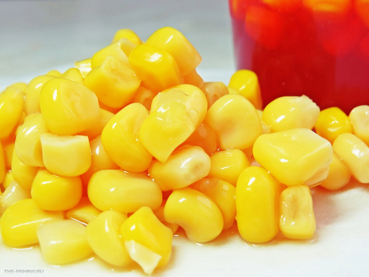 ферментация кукурузы для рыбалки. прикормка кукуруза. кукуруза карпомания. кукуруза для рыбалки карпомания. кукуруза клубничная для рыбалки.