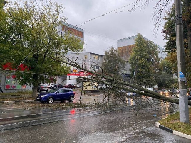 Что за хлопок в туле утром был. Что за хлопок в туле утром был. Сильный ветер. Хлопок мако как выращивают египетский хлопок. Что за хлопок в туле утром был.