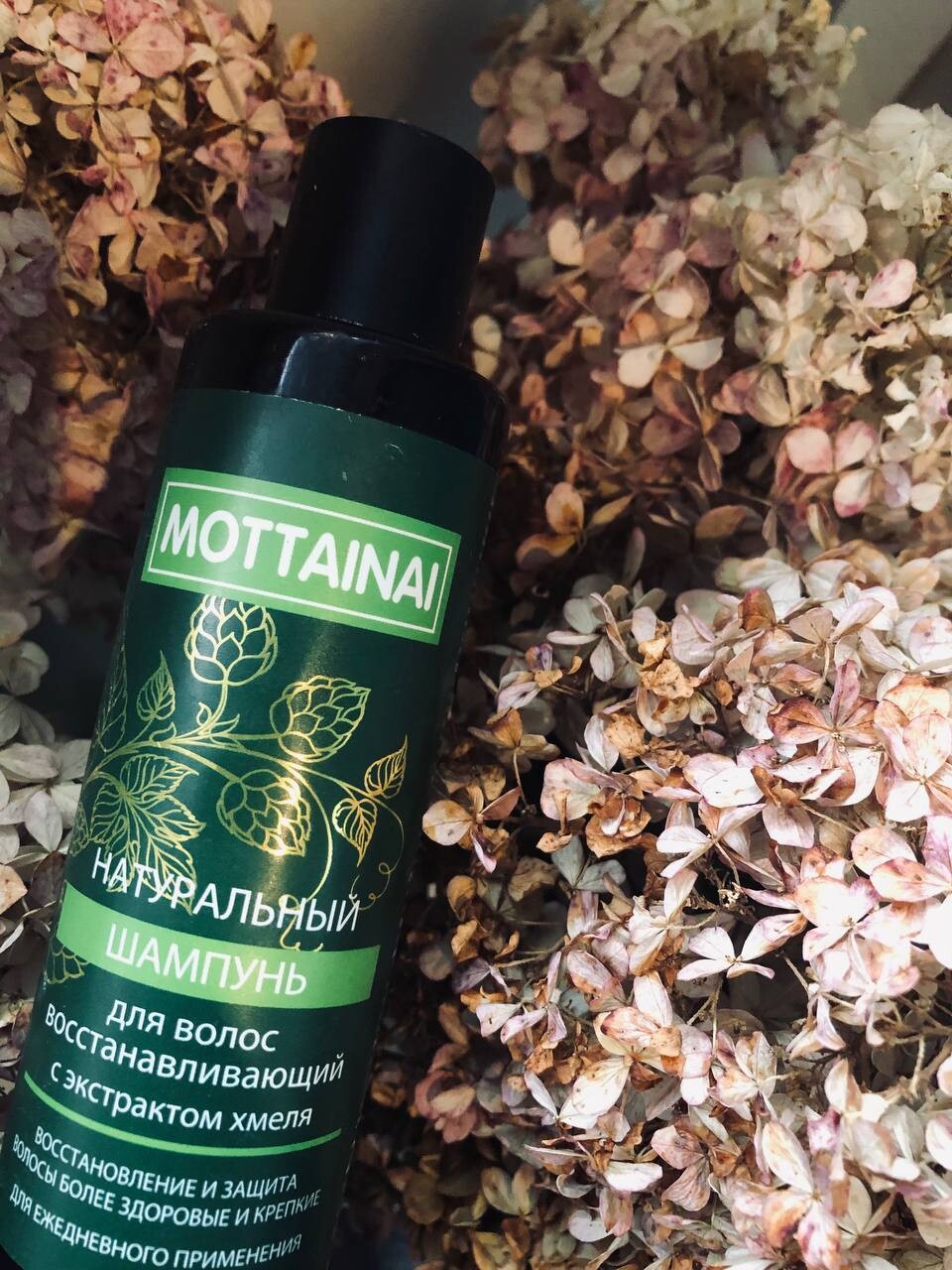 Экстракт хмеля. Шампунь от выпадения musk mint extracts. Настойка шишек хмеля. Со2 экстракт хмеля. Humulus lupulus extract в косметике.