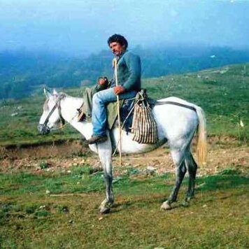 lazy_smart_crop_356x356