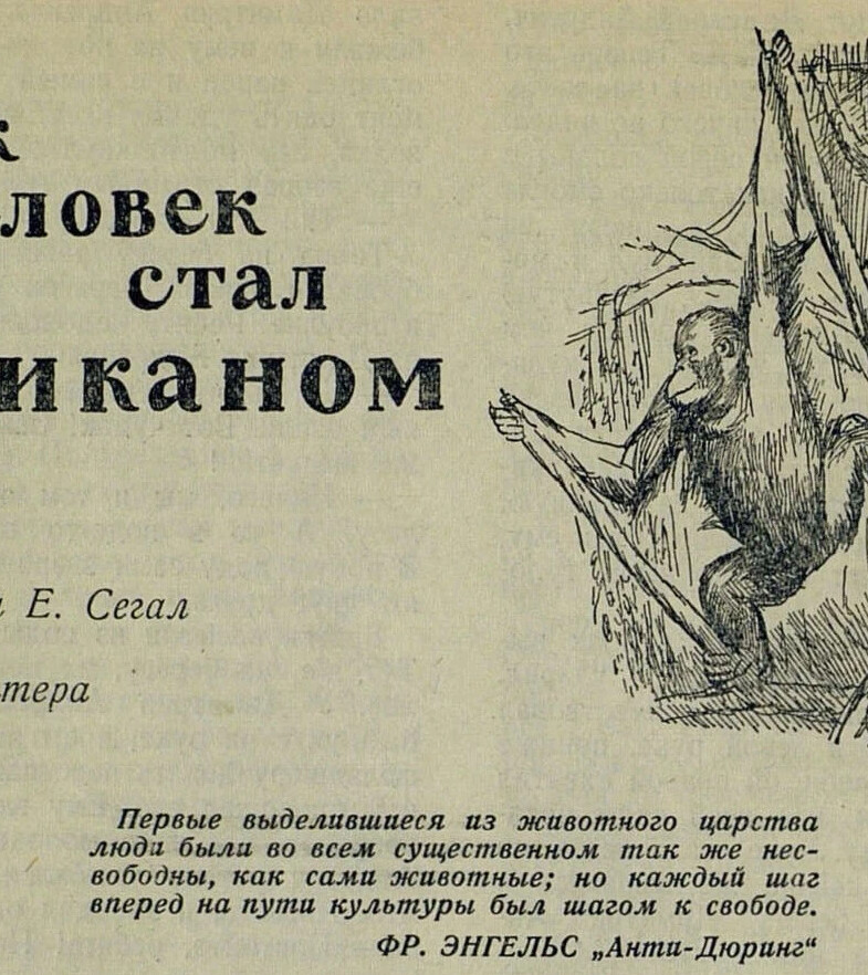 Человек стал великаном. Как стать великаном. Книга как человек стал великаном. Рассказ на тему я стала великаном. Рассказ я стал великаном.