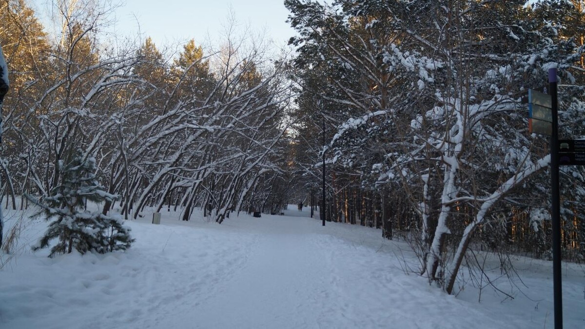 Снег в сентябре какая. Снежное утро. Снег в Красноярске. Красноярский край снег. Первый снег в Красноярске.