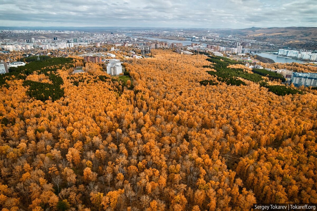 Осенний Красноярск.