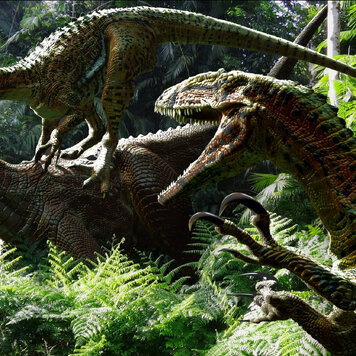 lazy_smart_crop_356x356