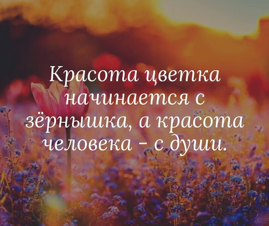 Психология души. Душа определение в психологии. Психология души в ВК. Психология душевная.