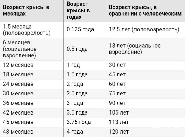 Возраст карта по человеческим