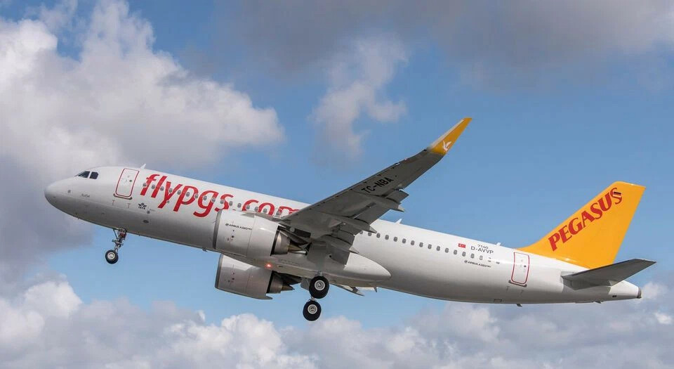 Пегас отзывы 2024. Airbus a320neo Pegasus Airlines. Pegasus Airlines в Домодедово. Аэро Номад Эйрлайнс авиакомпания. Карточки авиакомпаний.