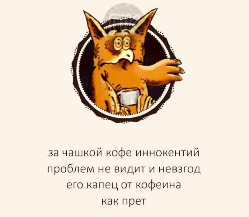 Если хочешь стать оптимистом и понять жизнь. Если хочешь стать оптимистом и понять жизнь то перестань верить. Лопата прикол. Обиженный котик. Условия заказа в интернет магазине одежды.