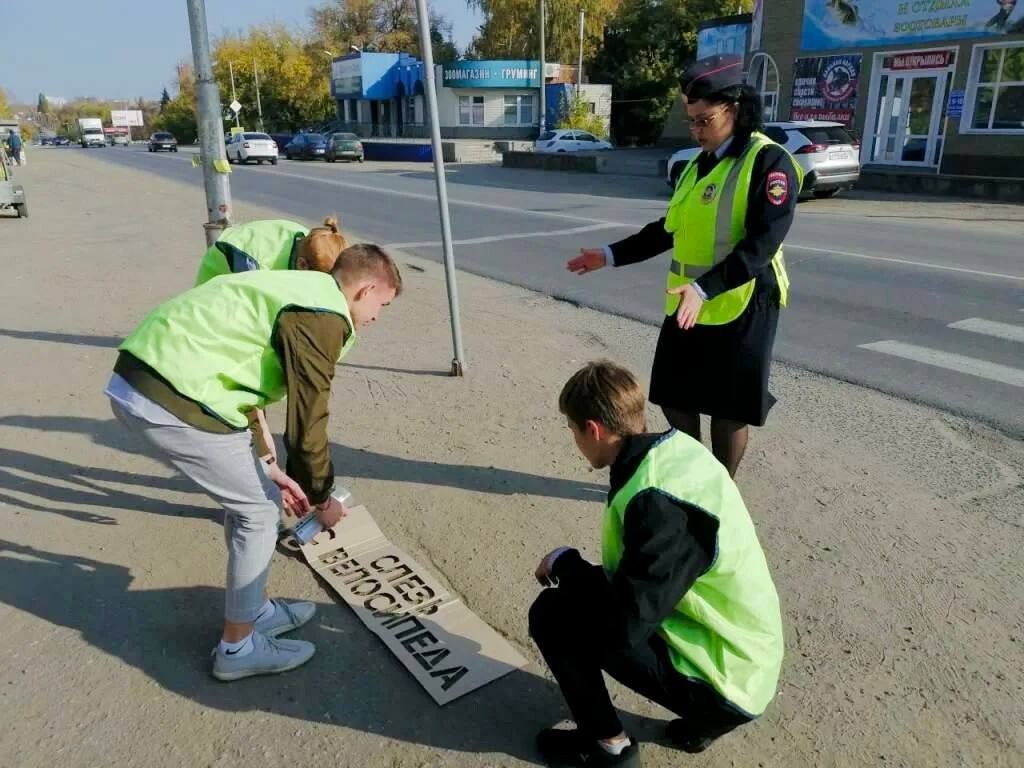 участники дорожного движения