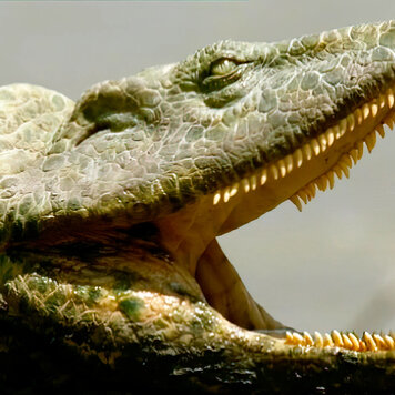 lazy_smart_crop_356x356