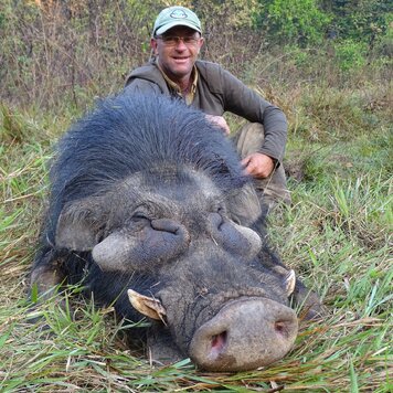 lazy_smart_crop_356x356