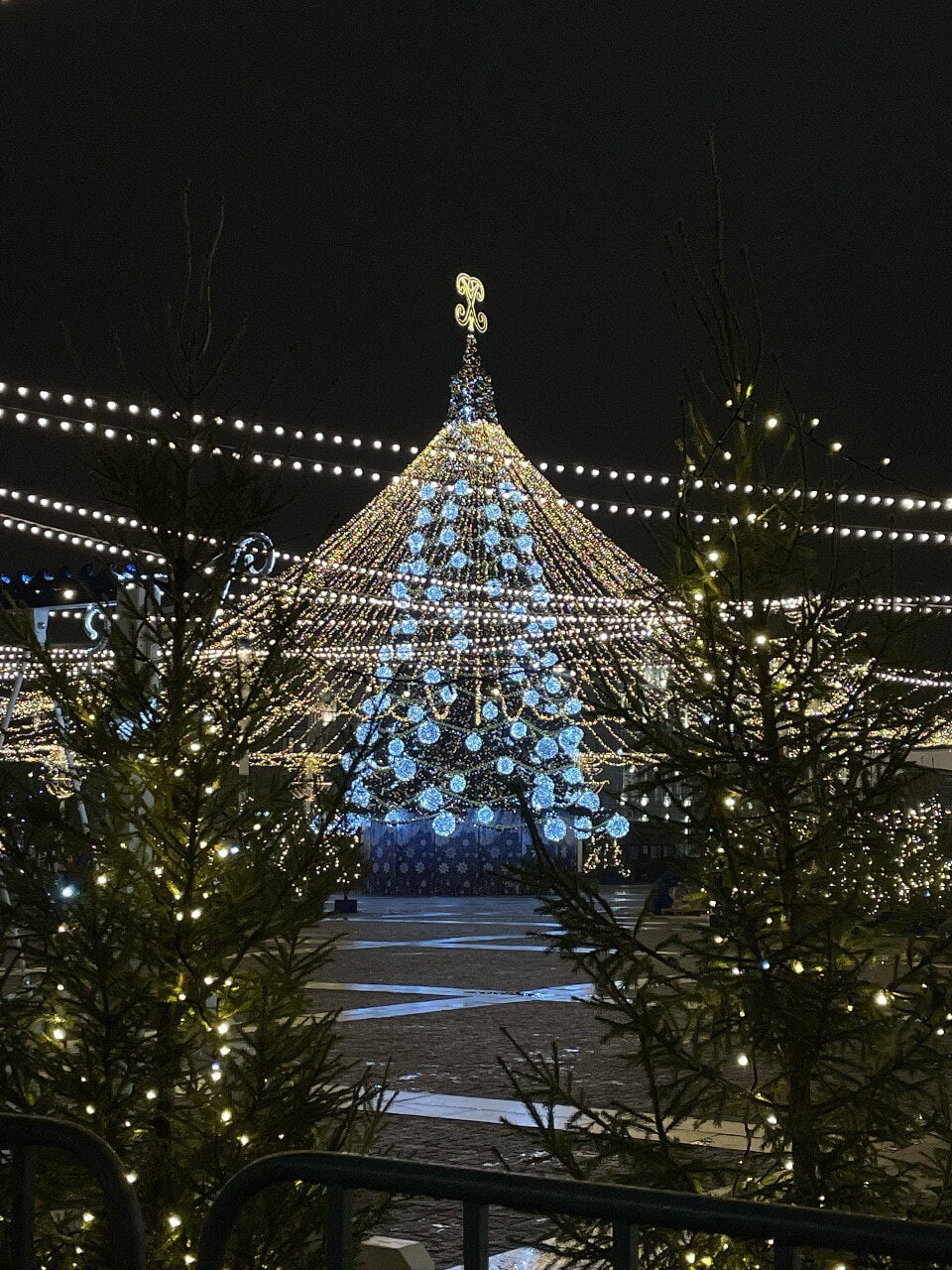 новогодняя елка в воронеже 2023 на площади