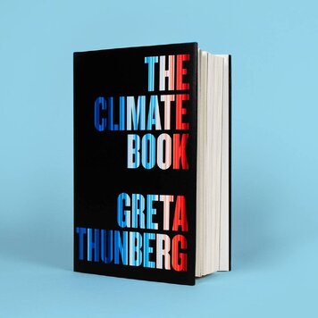 lazy_smart_crop_356x356