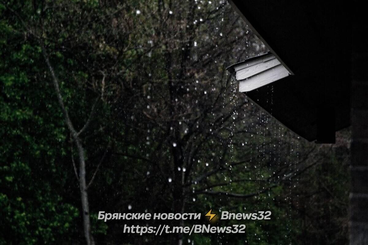 Карта дождя в брянске