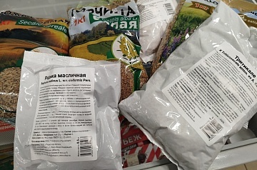 Декоративный водоём: копать или не копать?