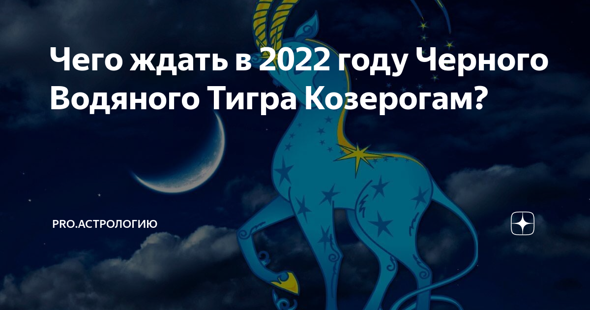 Гороскоп козерог тигр женщина. Тигр Козерог. 2022 Год черного водяного тигра. 2022 Год чего. Что ждёт козерога в 2022 году женщину.