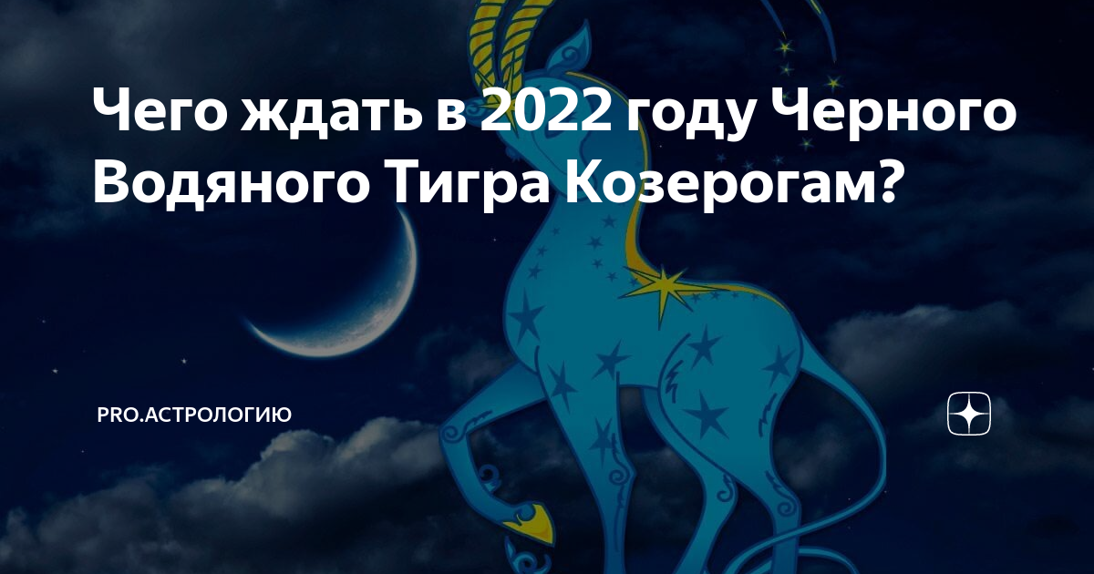 Тигр Козерог. 2022 Год черного водяного тигра. 2022 Год чего. Что ждёт козерога в 2022 году женщину.