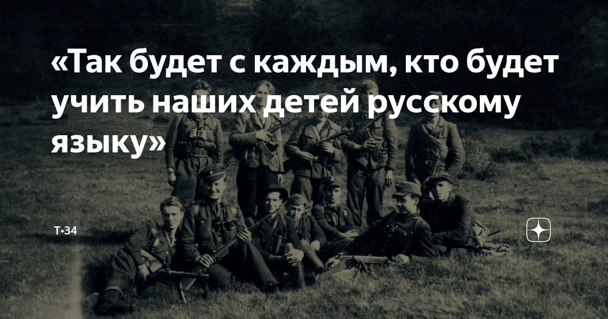 модераторы дзена