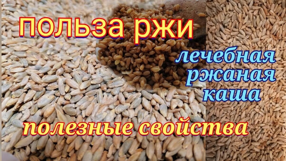 Какие крупы из ржи. Ассортимент крупы рожь. Польза ржи. Каша из ржи. Какие крупы из ржи.