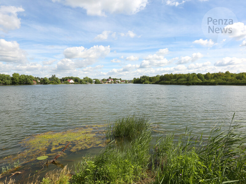    © Фото из архива ИА «PenzaNews»
