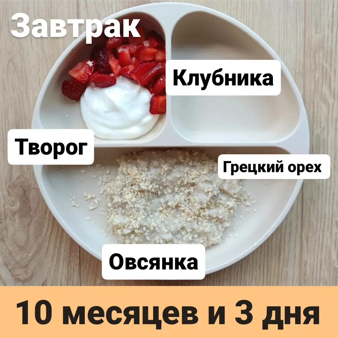 Пример тарелки в 10 месяцев 