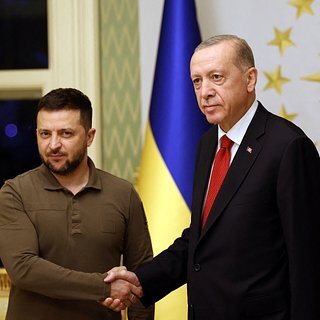 Чудная встреча. Владимир Зеленский и Тайип Реджеп Эрдоган