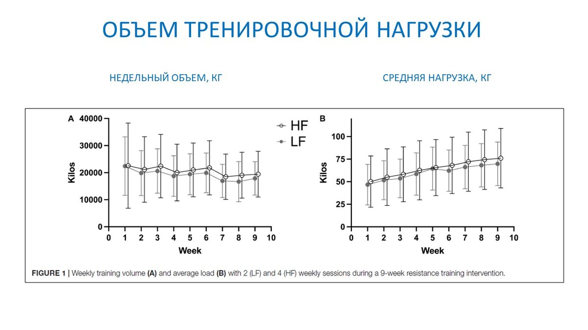 2 или 4 тренировки в неделю? Сравнение влияния на силу и мышечную массу |  Василий Волков | Дзен