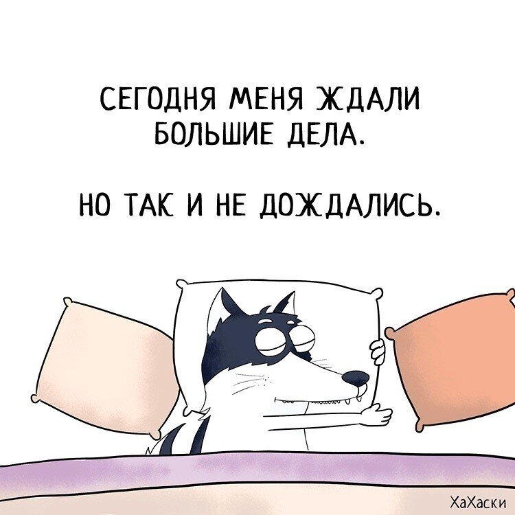 Подождут ещё 😁