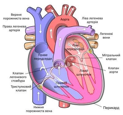 Взято с открытых источников. 