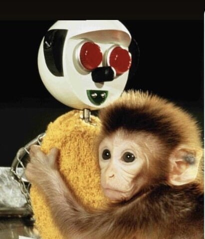 Обезьянка ищет контакт с меховой «мамой»