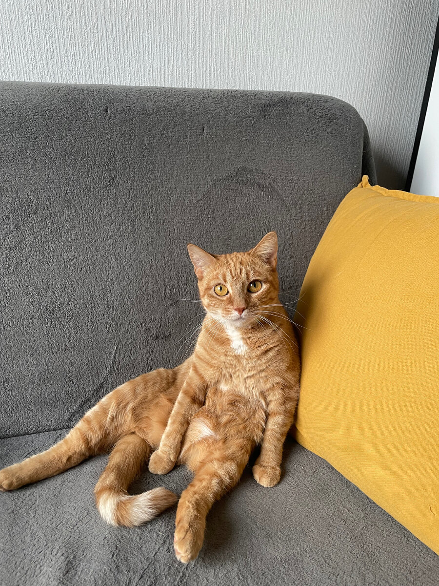 Какая еще работа? Работайте сами свою работу. 