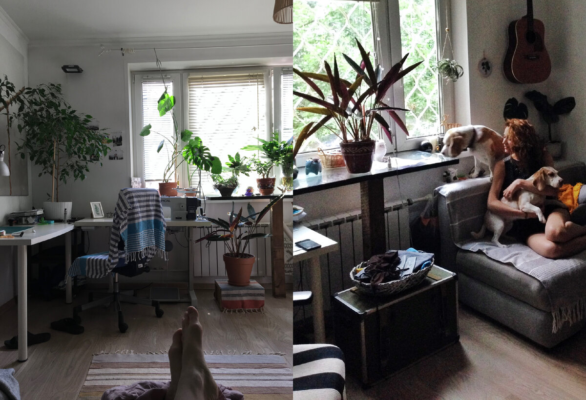 (один из вариантов перевоплощений тропической квартирки, приблизительно 5 лет назад)