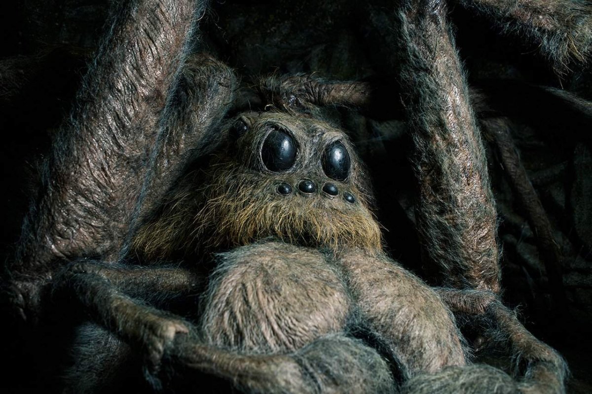 Лунтик паук шнюк. Как зовут паука из отеля. Как зовут паука из отеля. Пауки-улобориды. Паучок из отеля хазбин.