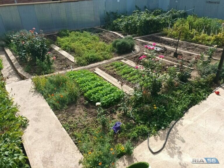    День дачника в России отмечают 23 июля Кристина Просвиркина