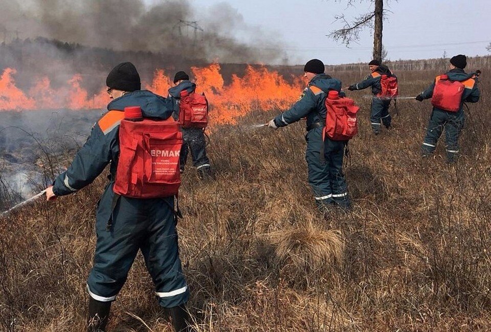 Фото пожар в лесу пожар