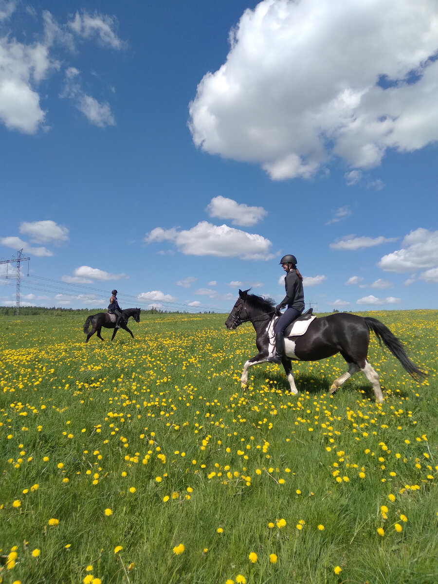 Поэтому и клиенты довольны! Для этого мы и работаем!