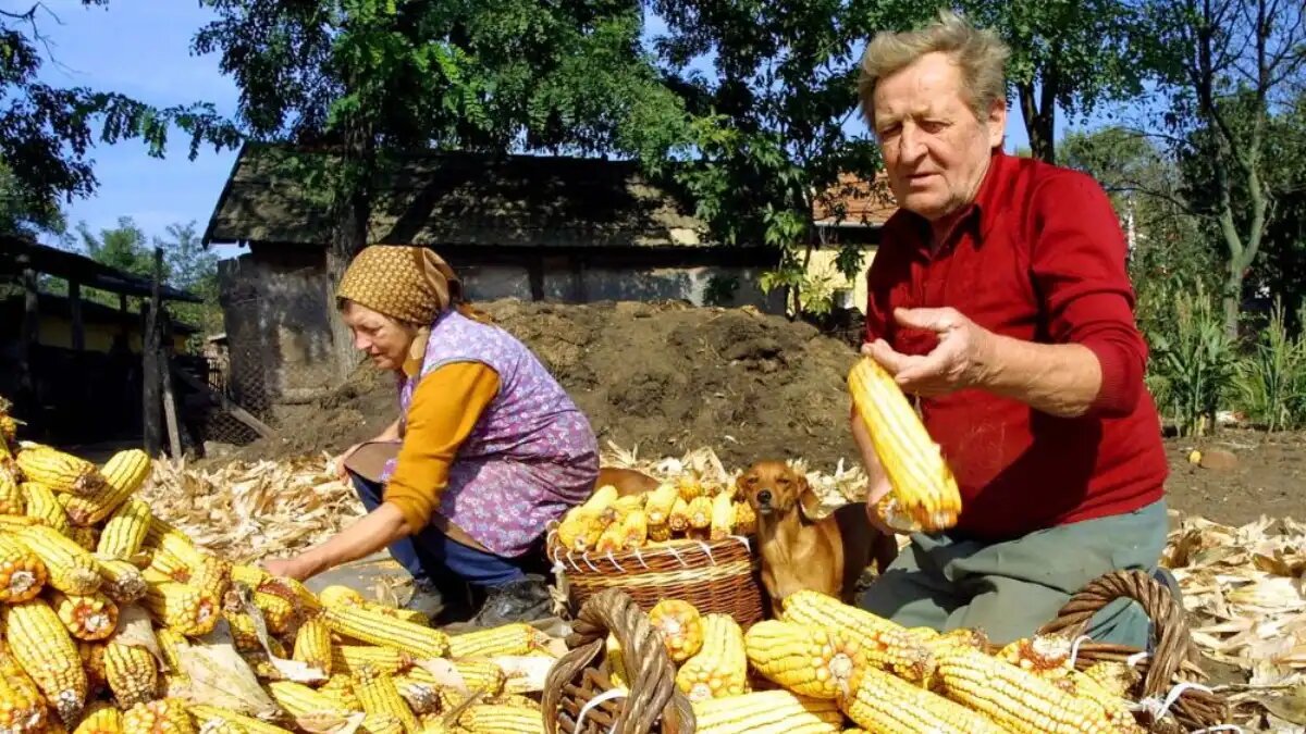 Хозяйство Венгрии