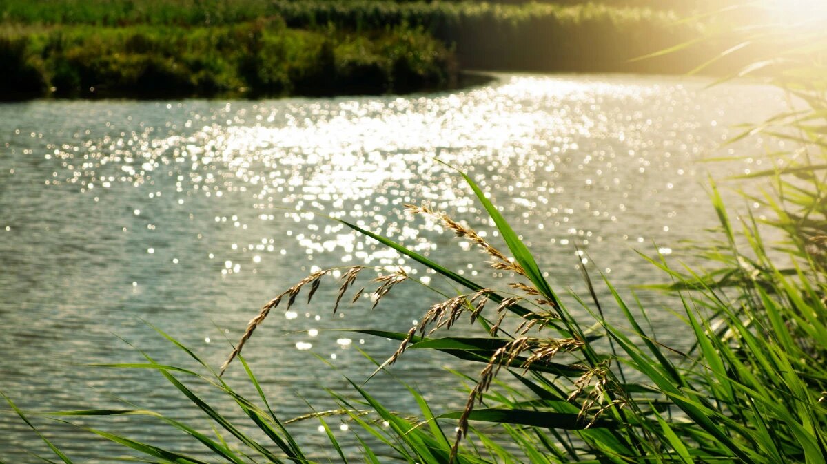 Фото: pxhere.com