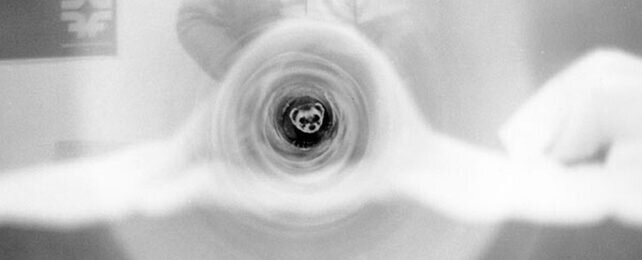 Хорек Фелиция. (Тим Филдинг / ФИНАЛ)