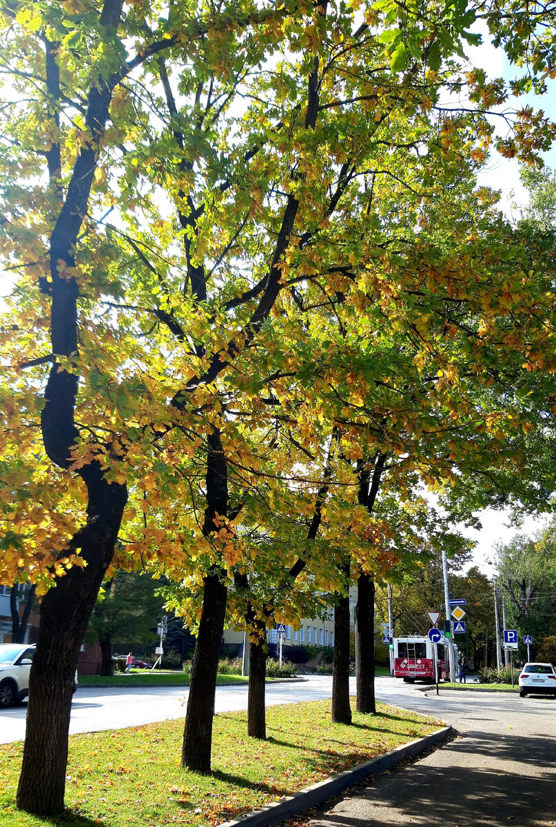 Ставрополь,  ул.Ленина, фото автора 