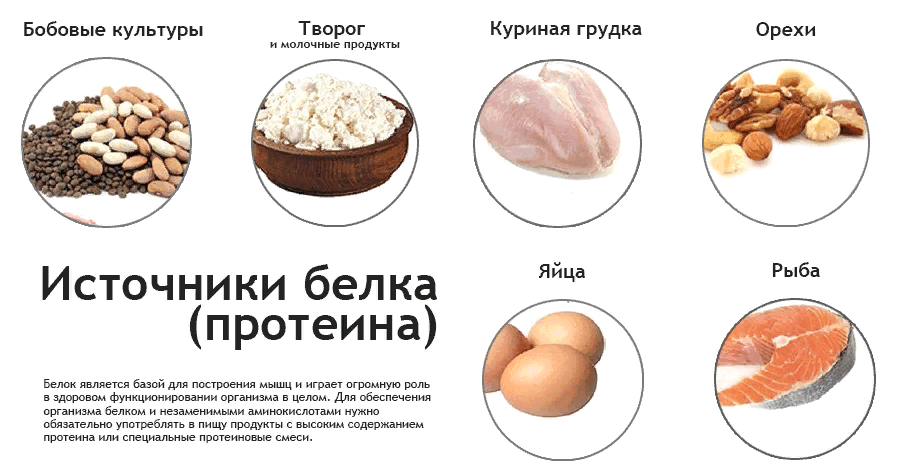 Правильный белок. Продукты с высоким содержанием протеина и аминокислот. Продукты содержащие протеин и белок. Протеин где содержится в каких продуктах. Протеин в продуктах питания таблица.