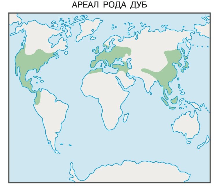 Источник фото: https://old.bigenc.ru/biology/text/1969337