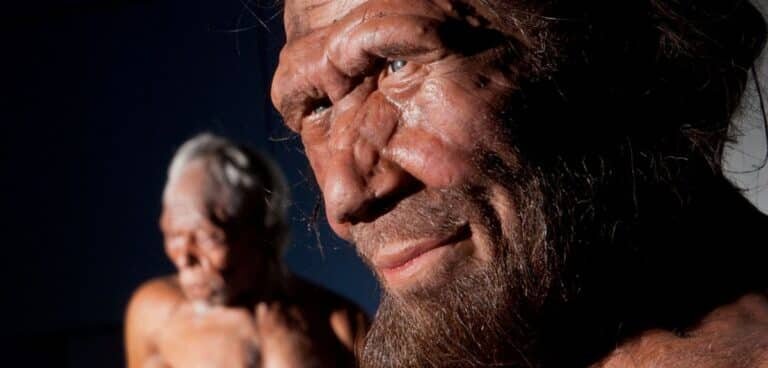    Реконструкция облика неандертальцев / ©Natural History Museum, London