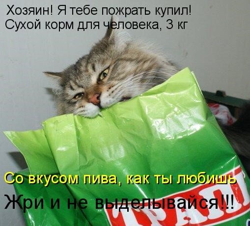 Наше будущее? Фото из открытых источников.