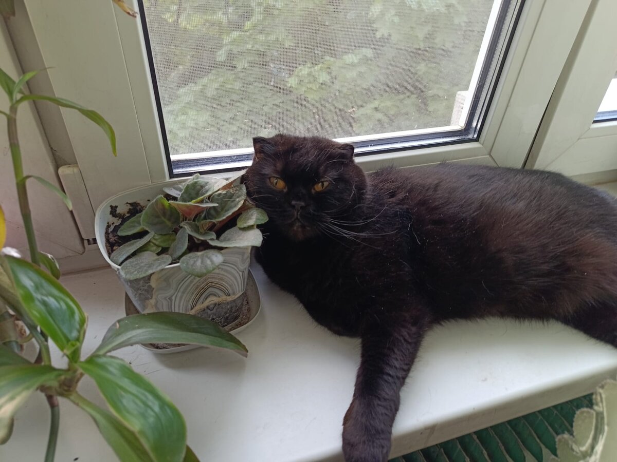 На вас смотрят красивые глазки